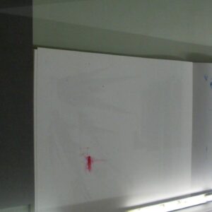 showcase with book