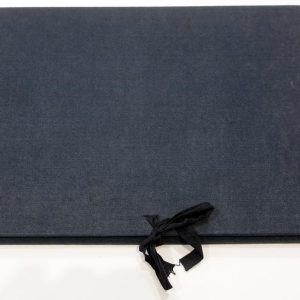 Albert Ehrenstein, A3 portfolio view