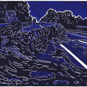 Tabasco road, linoprint/cotton, 20 x 25 cm, 2008