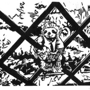 Saltarín in Caputh, linoprint/paper, 15 x 20 cm, 2024