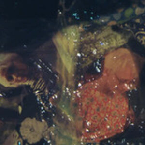 1014-Filmstill-Deborah S. Phillips